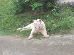 -上海野生动物园
