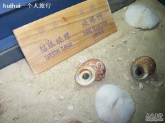 -亚龙湾中心广场·贝壳馆