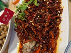 -杨氏青龙虾·羊蝎子(珠江路店)