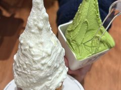 -野人先生Gelato(上海长宁龙之梦店)
