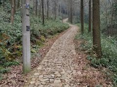 -午潮山国家森林公园