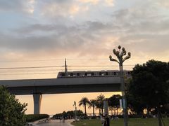 -宝安西湾红树林湿地公园