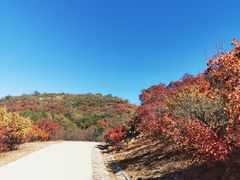 -北京西山国家森林公园
