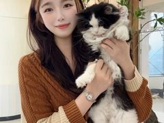 -共舞时光猫咖·狗咖(新街口店)