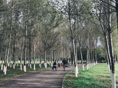 -东郊湿地公园