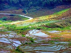 -永泰中国云顶