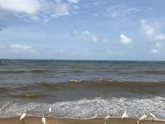 -尼甘布海鲜市场