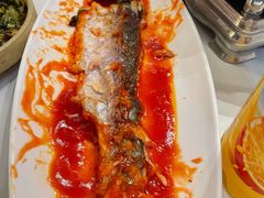 -刘胖子家常菜·蹄花焖藕(中南店)