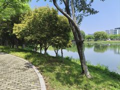 -尚贤河湿地