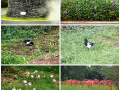 -白塘生态植物园