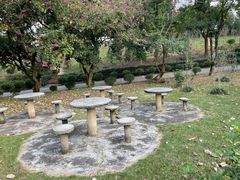 -南宁良凤江国家森林公园