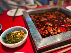 -二荆条·蜀鲜汇城市森林火锅