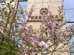 -济南喜来登酒店