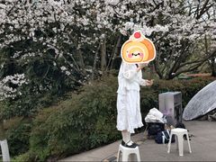 -南山植物园