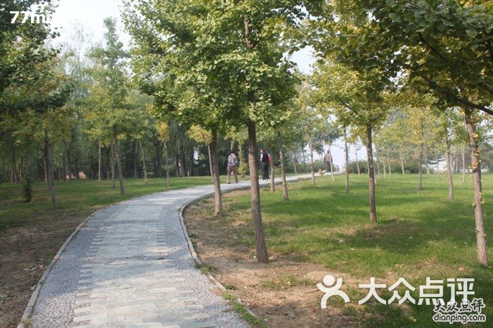 国际企业文化园