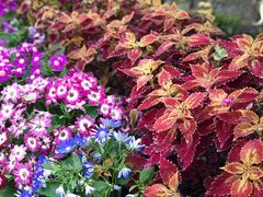 -南通洲际绿博园