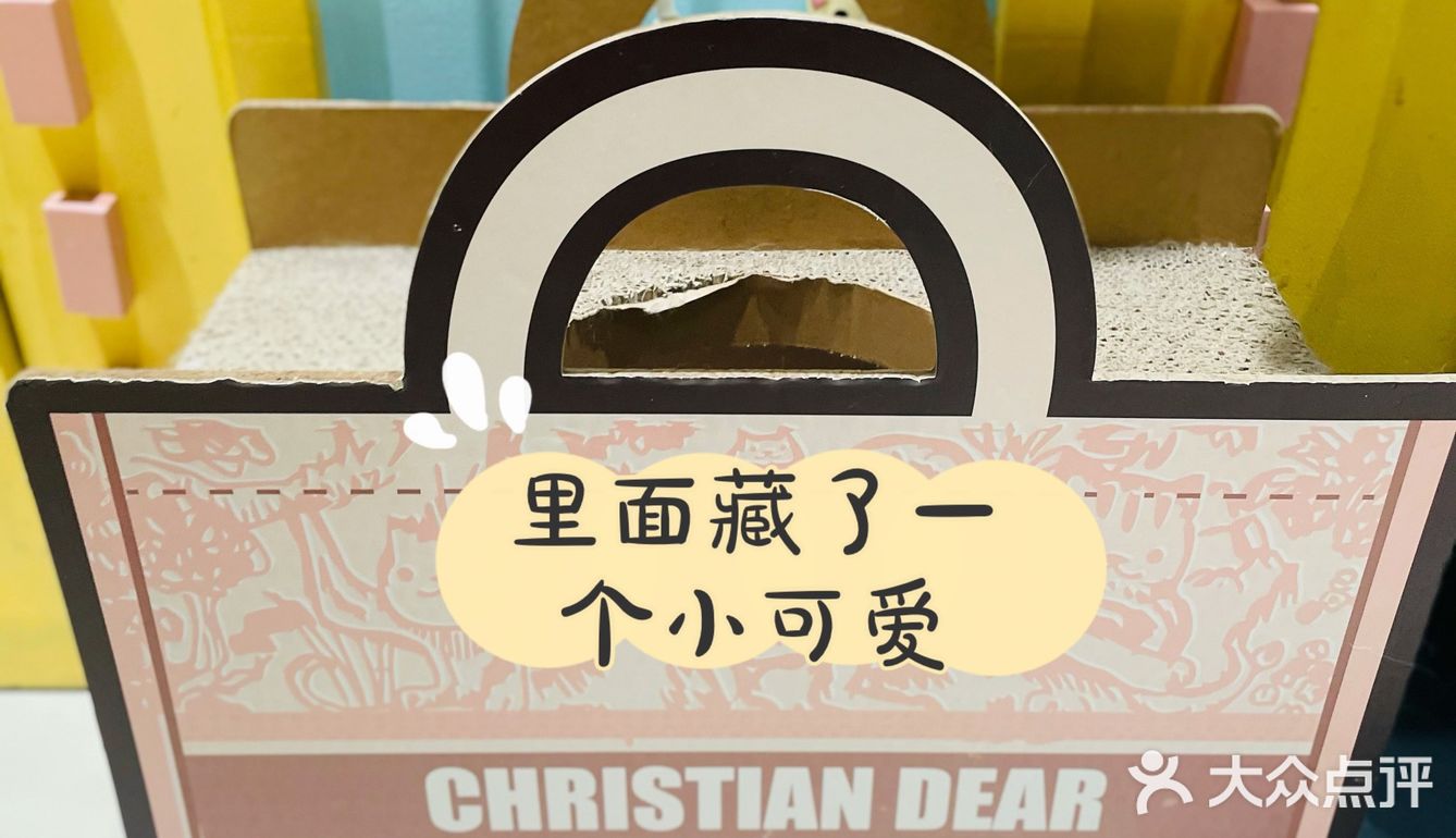 探店丨猫先生之家·猫舍