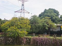 -晓港公园