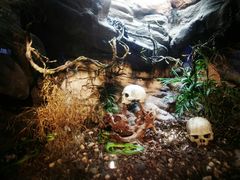 -成都浩海立方海洋公园