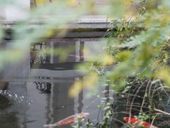 -香然会·园林雅宴(陆家嘴店)