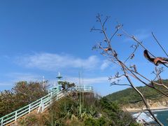 -达叔香味海鲜(海棠68环球美食街店)