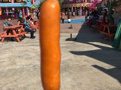 餐饮设施-厦门方特梦幻王国