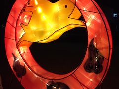 -明珠湖天鹅苑·农家菜馆