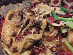 -老板恋上鱼(印象城店)