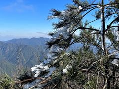 -金鸡山公园