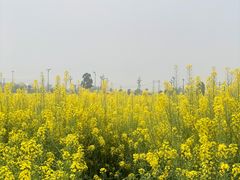 -中国天府农业博览园