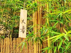 -天水蔬食料理(树德之光店)