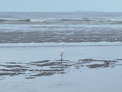 -南澳海滩