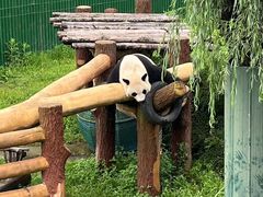 -沈阳森林动物园