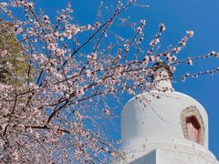 -北海公园
