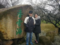 -香雪海