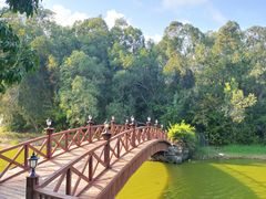 -三亚亚龙湾金棕榈度假酒店