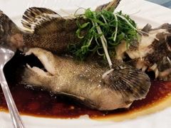 清蒸珍珠斑-岭南海晏楼(东晓南店)