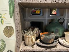 -自由生长植物工作室(深港花卉中心店)