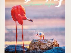 -罗红摄影艺术馆