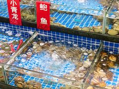 -红月湾海鲜饭店•沙滩海景(双月湾店)