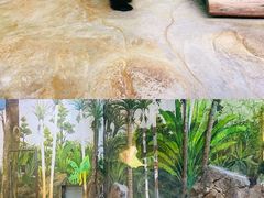 -海南热带野生动植物园