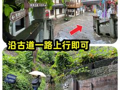 -南山植物园
