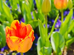 -艺师傅盲人按摩(江浦大润发店)