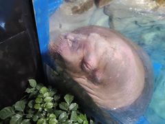 -海合安武汉极地海洋公园