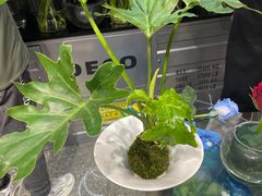 -FEI FEI FLOWER鲜花店·气球派对·宝宝宴布置(虹口德必运动Loft店)