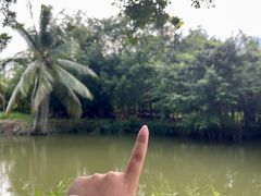 -兴隆槟榔园休闲农庄