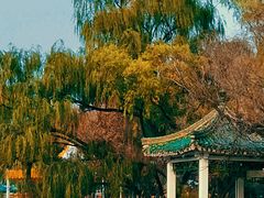 -北陵公园