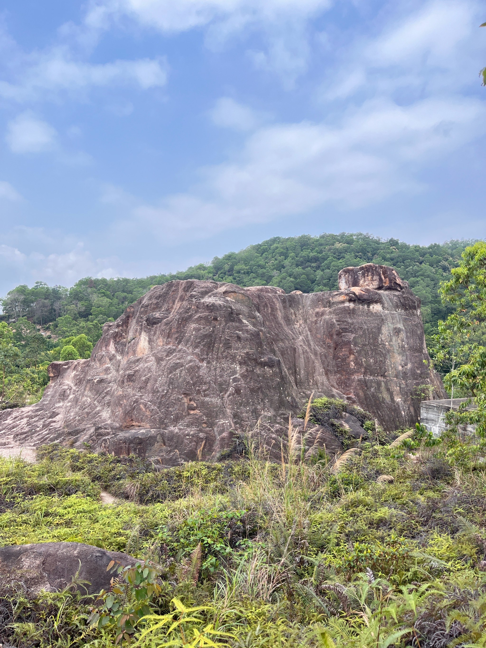 中山市鹿鸣湖图片