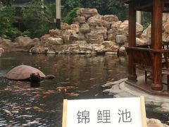 android_upload_pic-龙达温泉生态城