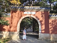 -灵谷景区